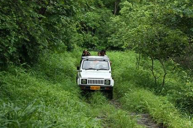 activities safari kumbhalgarh